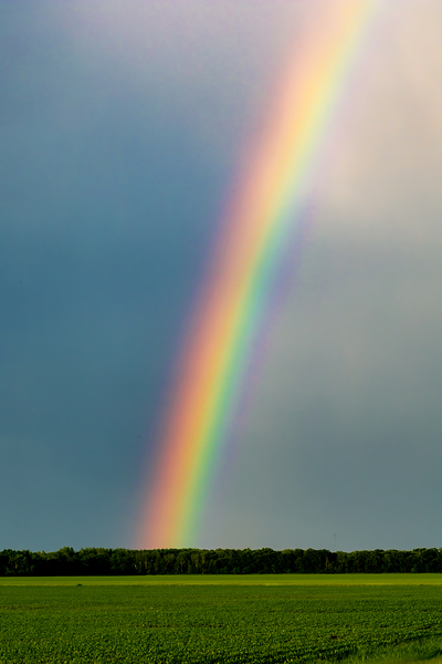 Rainbow in the Prairies Print