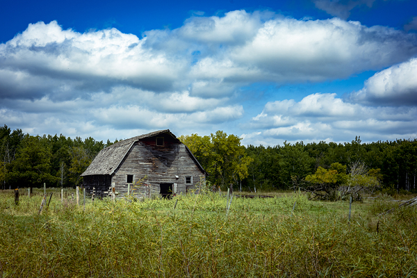 Old Barn on a Cloudy Day Print
