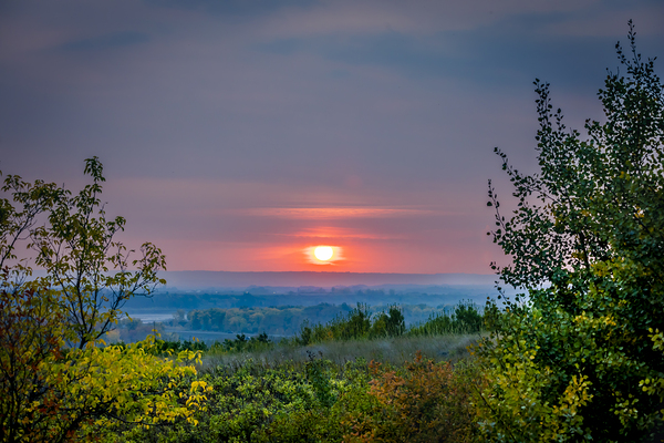 Red Wine Sunset Print