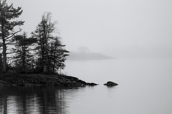 Fog on the Lake Print