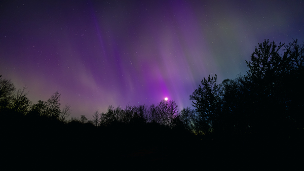 Aurora and Moonlight over the Canopy Print
