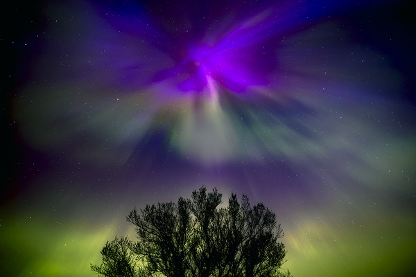 Angel of Light Print