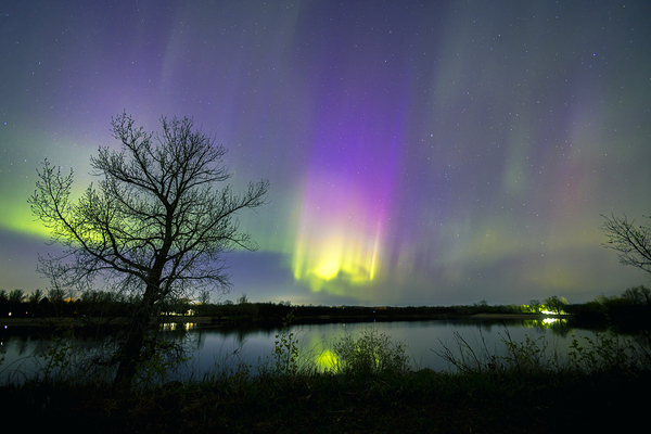 Comet Fall Aurora by lone Tree Print