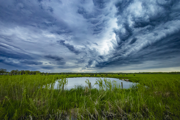 Pasture Under Storm Clouds Print