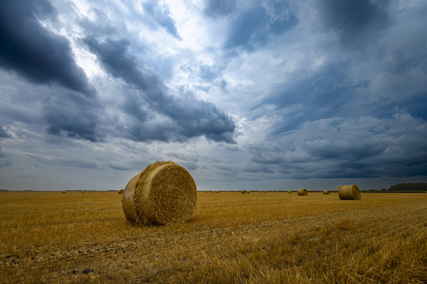 Hay Bales Under a Cloudy Sky Print