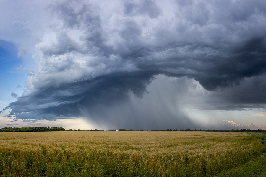 Atomic Rain  Imprimer