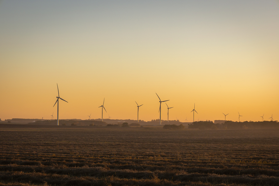 Wind Turbines at Sunset  Print