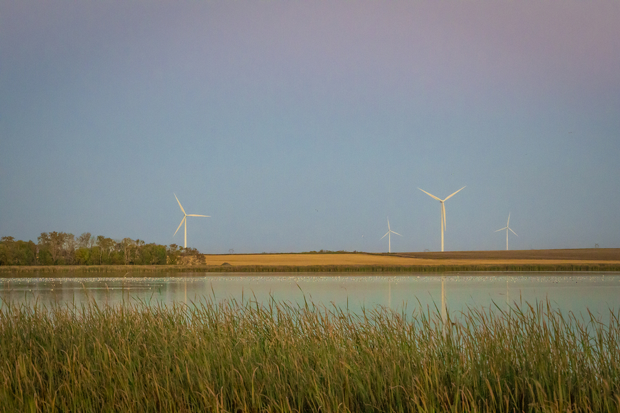 Wind Turbines Reflection  Print