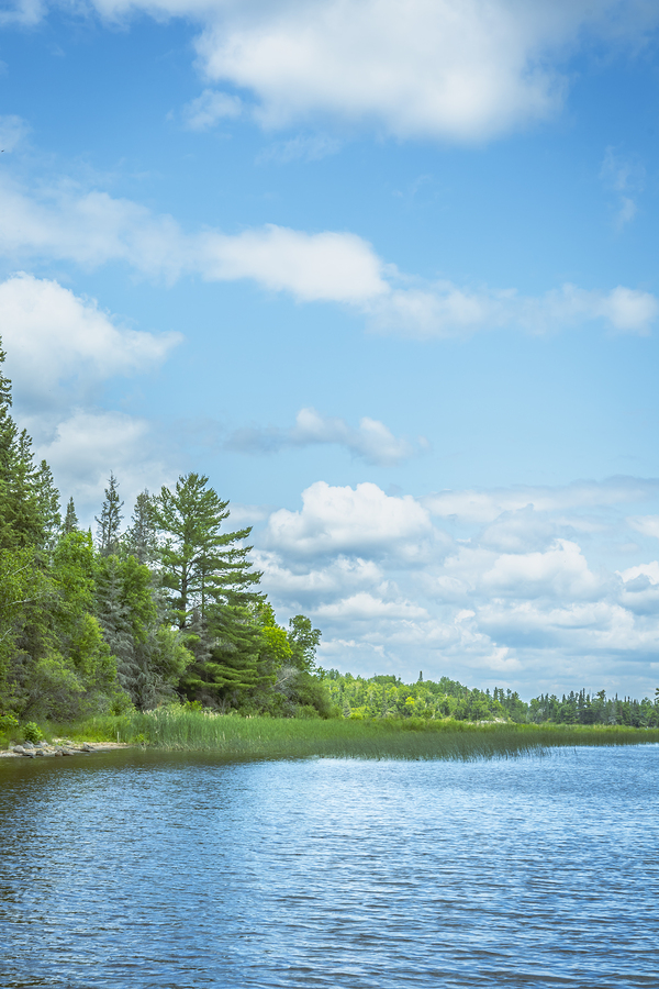 Lake of the Woods View  Print