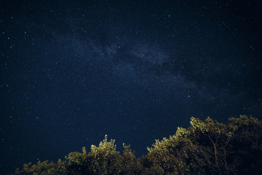 Starry Night  Imprimer