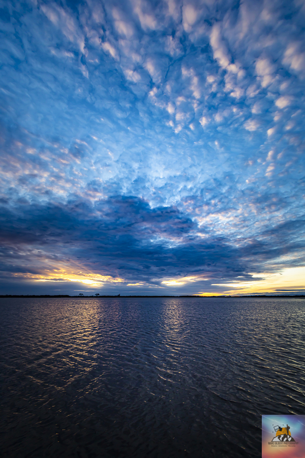 Flooded Field  Print