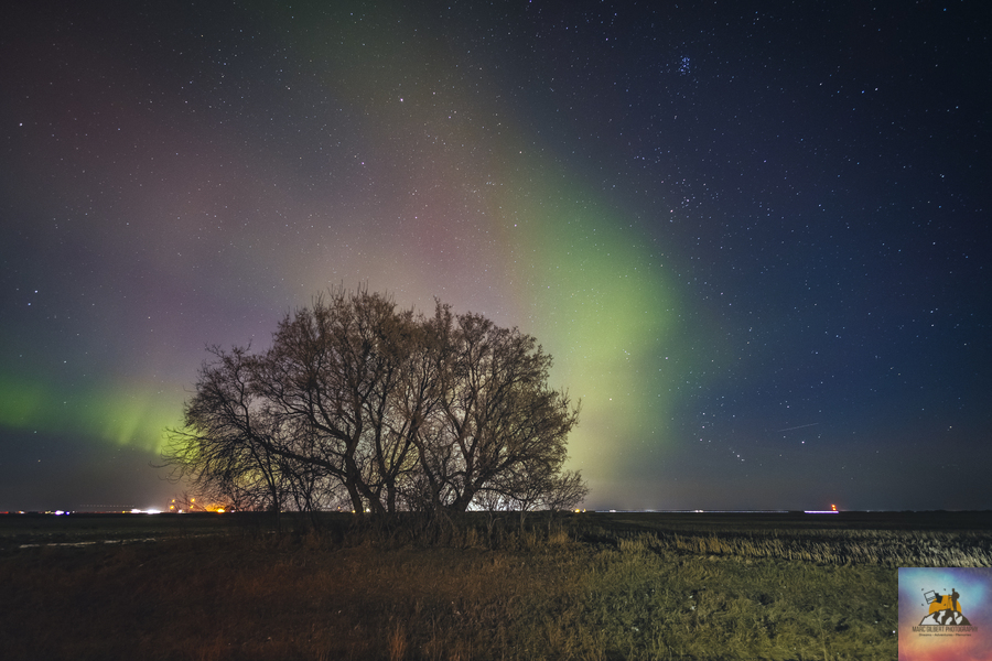 Angels Landing  Print