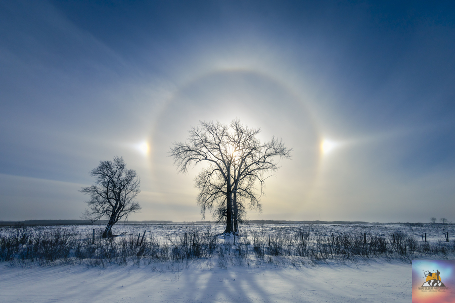 Sundogs Behind Lone Trees  Print