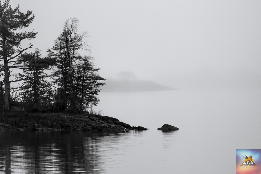 Fog on the Lake  Print