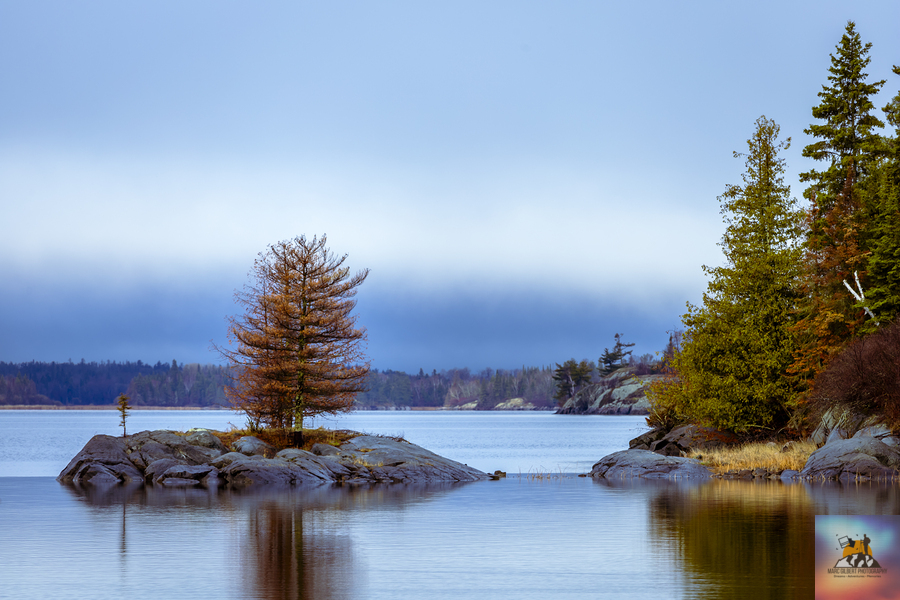 Tree on a Shoal  Print