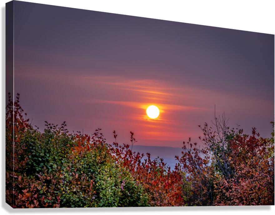 Red Sunset Canvas Print