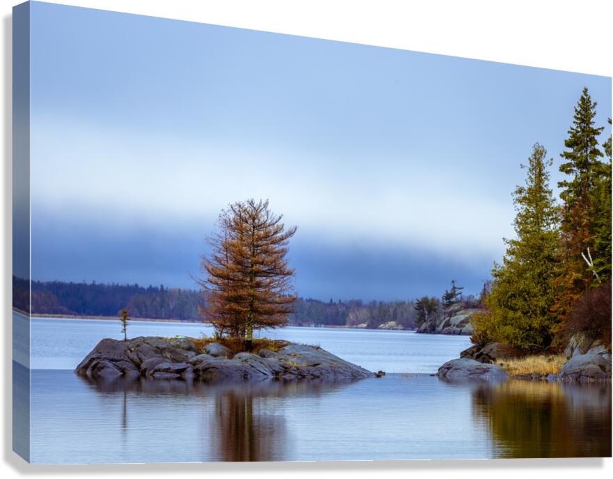 Tree on a Shoal Canvas Print