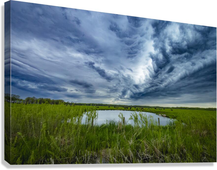 Pasture Under Storm Clouds Canvas Print