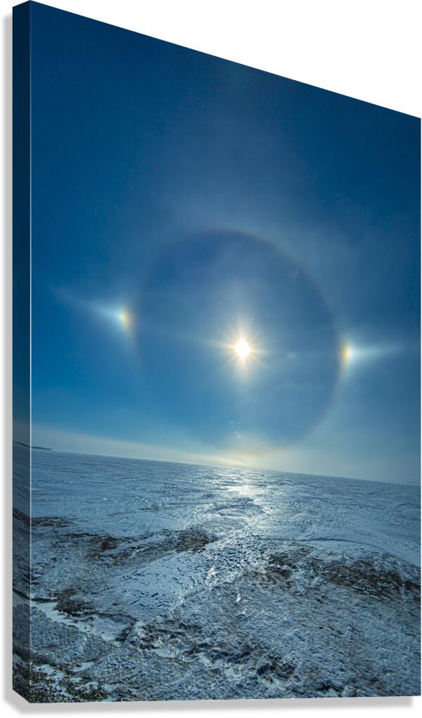 Sundog on Ice Canvas Print