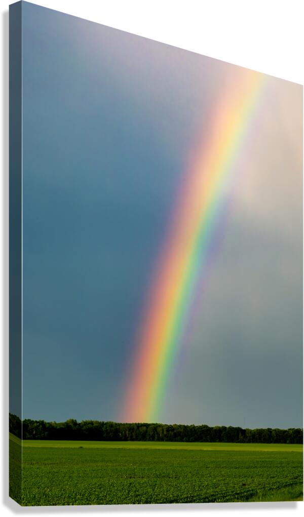 Rainbow in the Prairies Canvas Print