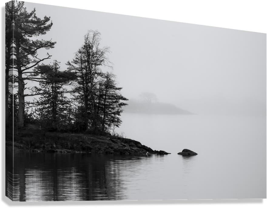Fog on the Lake Canvas Print