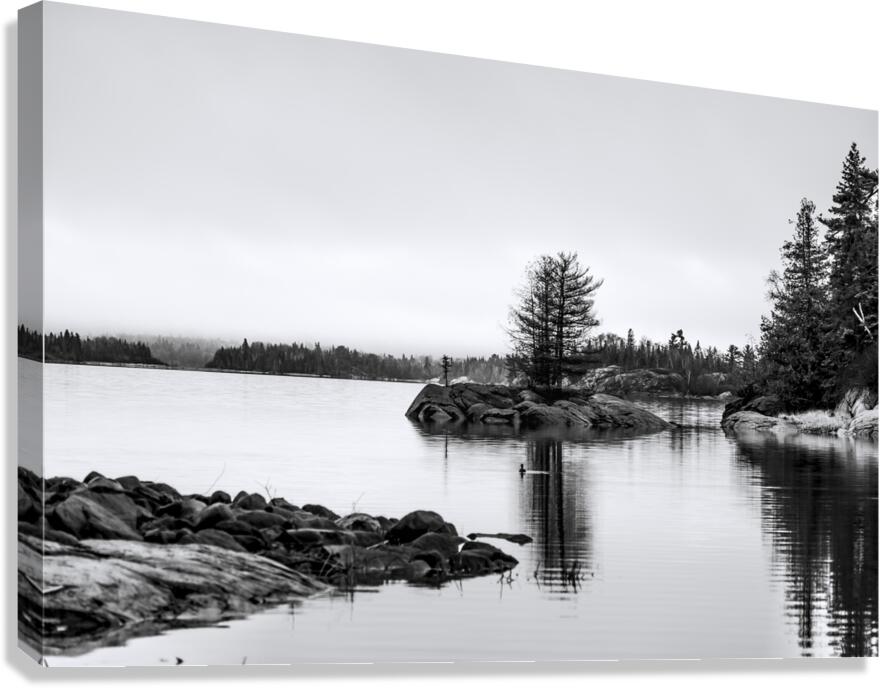 Stillness Canvas Print