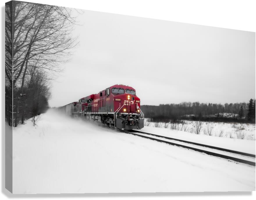 Train After Snowstorm Canvas Print