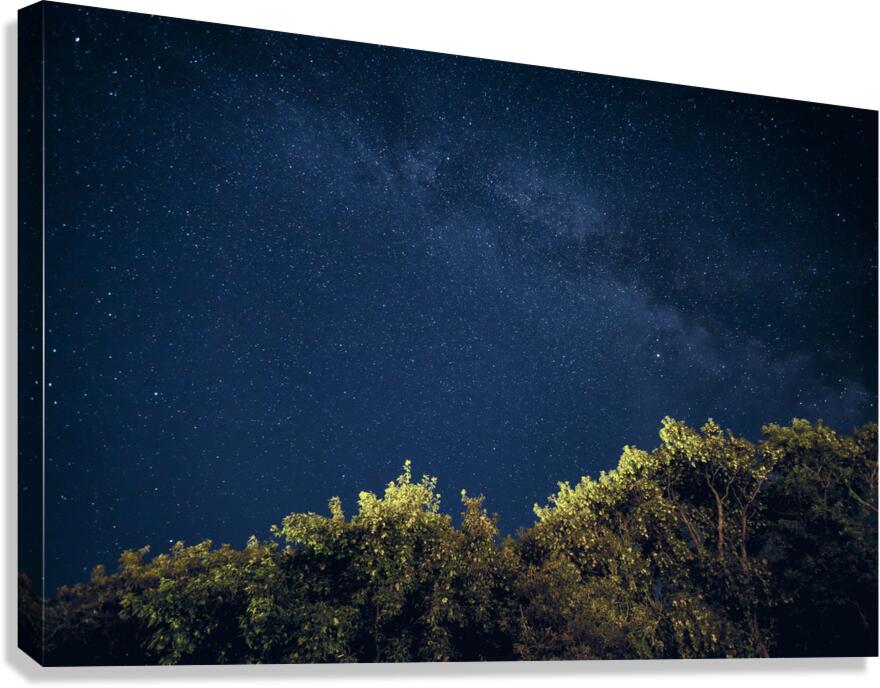 Starry Night Canvas Print