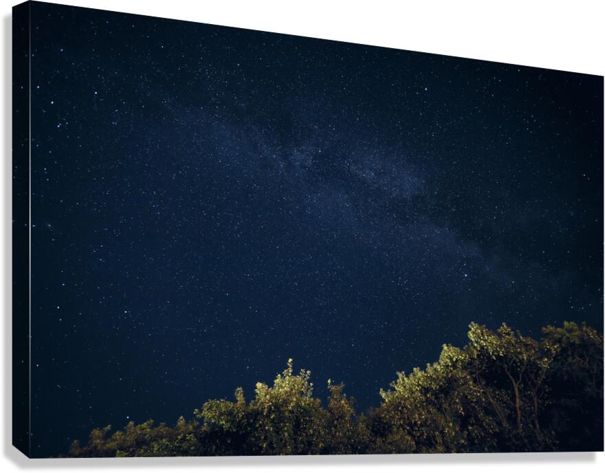 Starry Night Canvas Print