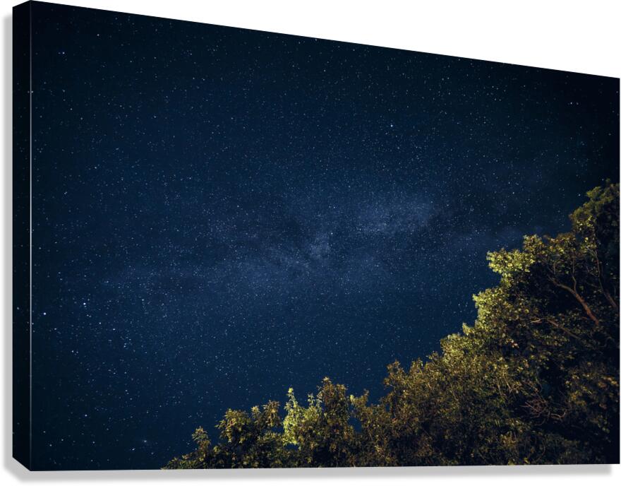 Starry Night Canvas Print