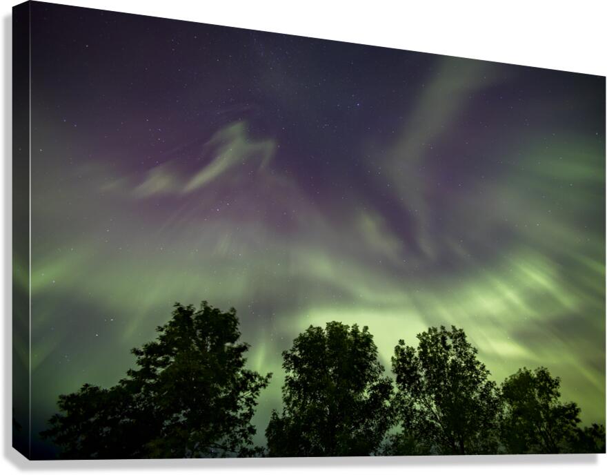 northern Lights Canvas Print