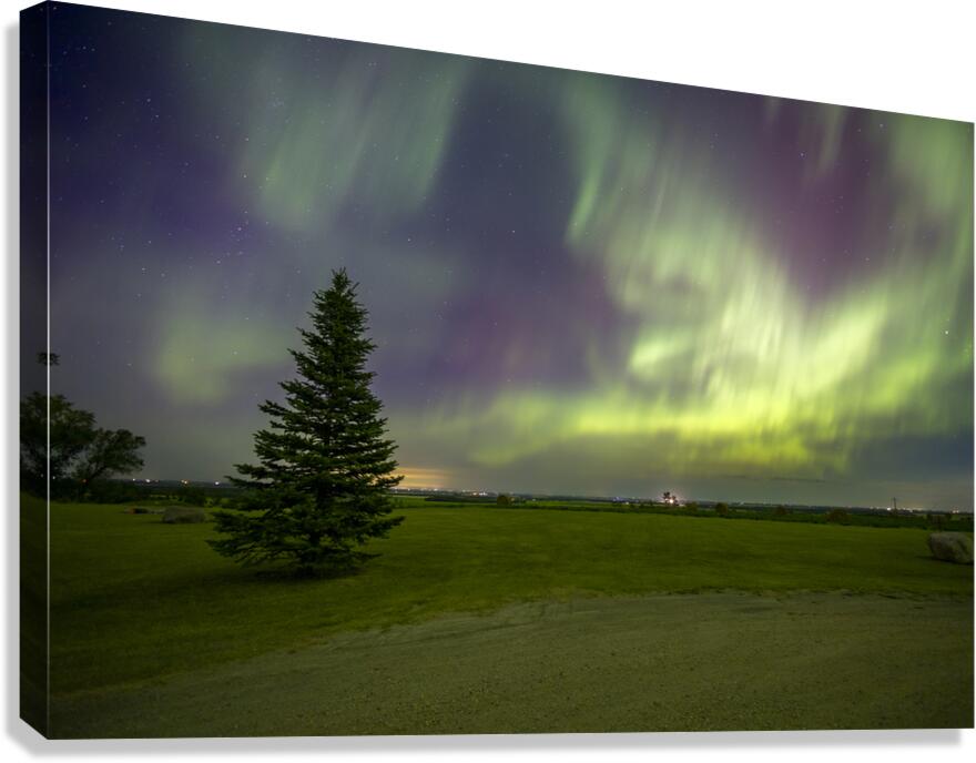 Northern Lights Canvas Print