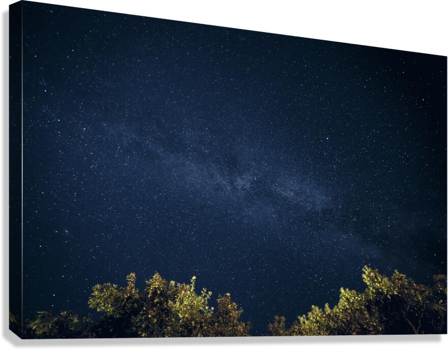 Starry Night Canvas Print