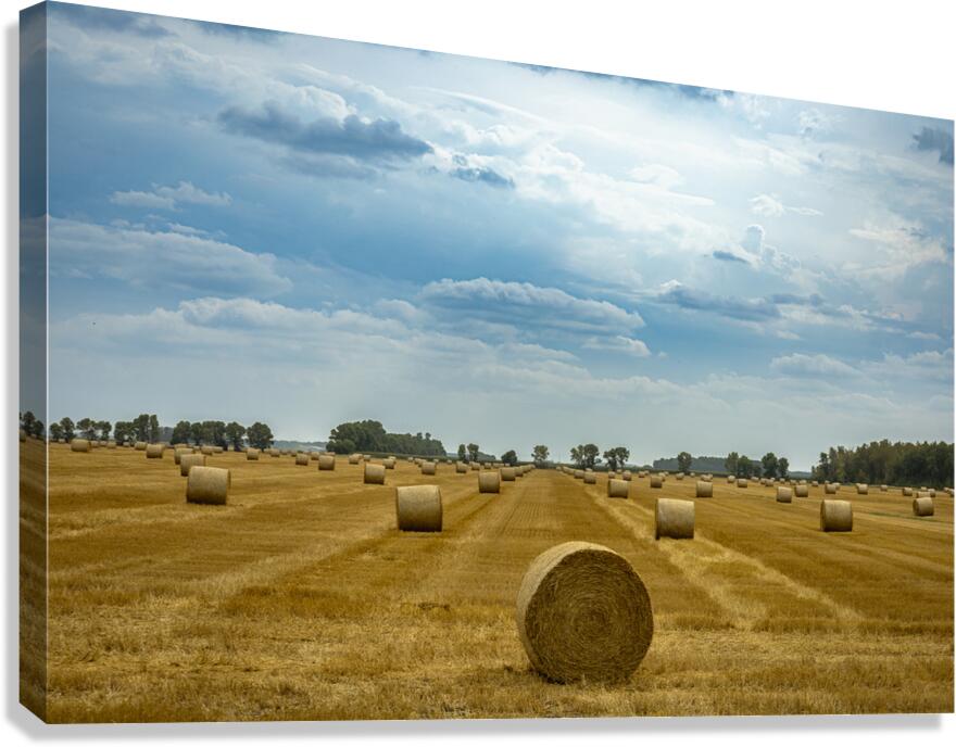 Hay Bales Under a Cloudy Sky Canvas Print
