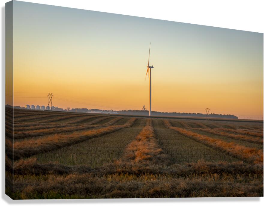 Wind Turbines at Sunset Canvas Print