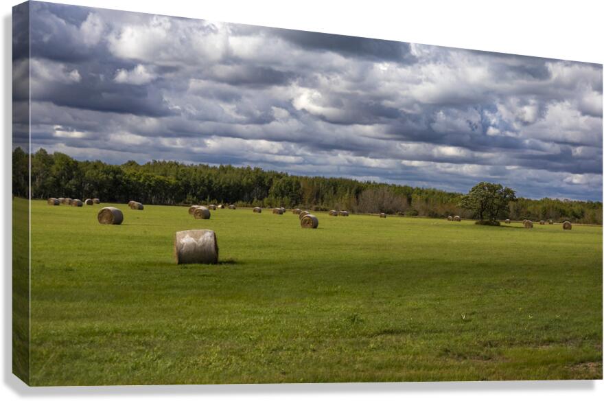 Haybales Under a Cloudy Sky Canvas Print