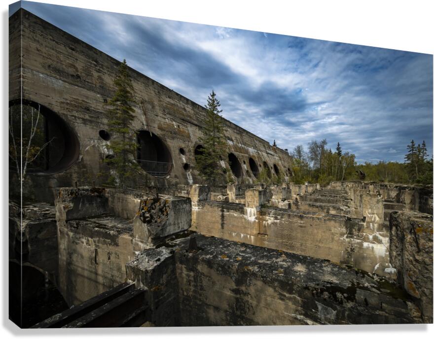 Amongst the Ruins Canvas Print
