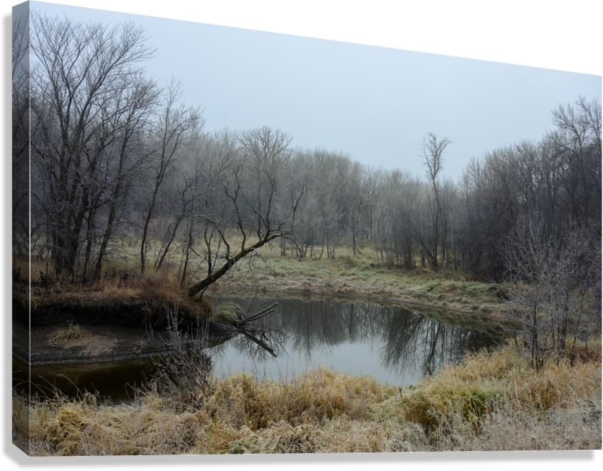 Fog by the River Canvas Print