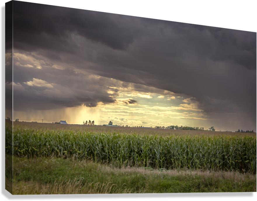 Archway of Light Canvas Print