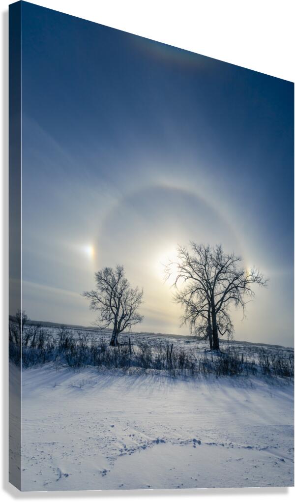 Sundogs Behind Lone Trees Canvas Print