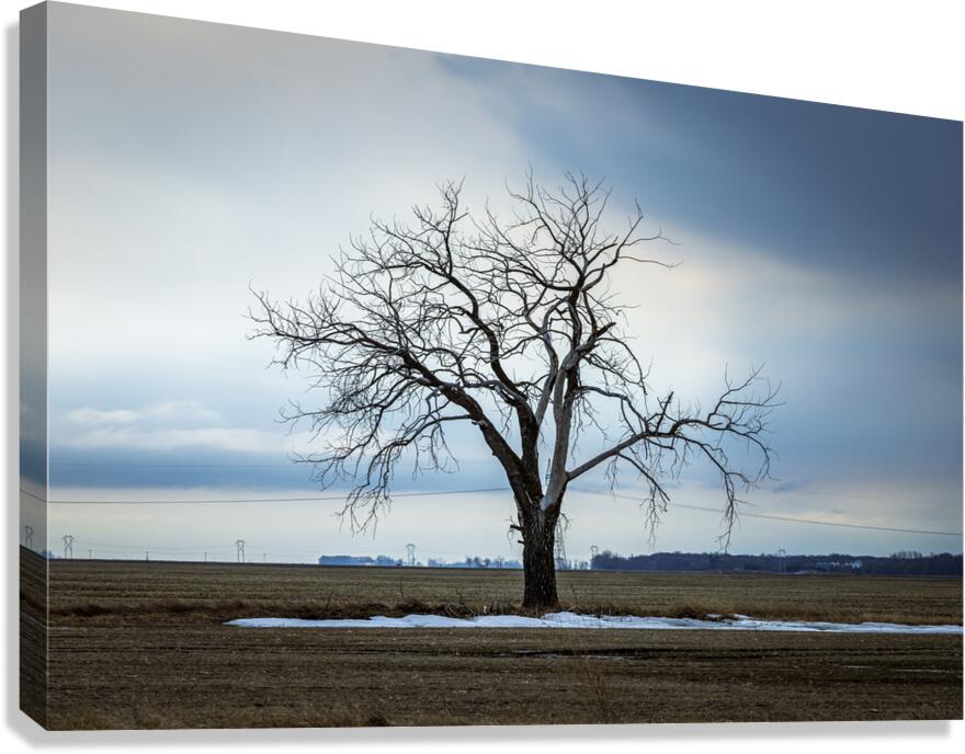 The Last Stand Canvas Print