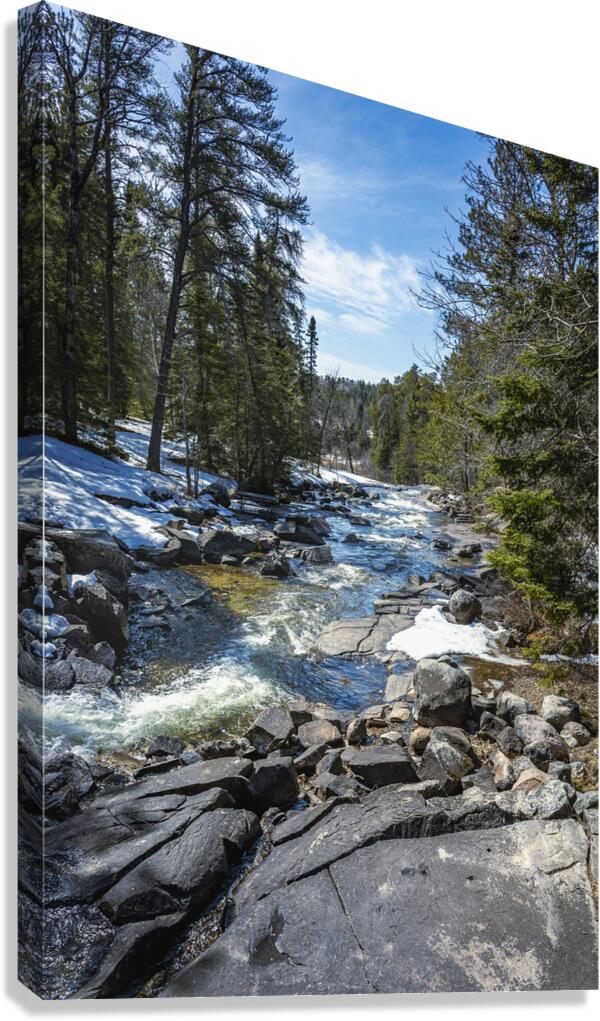 Cascading Waters Canvas Print