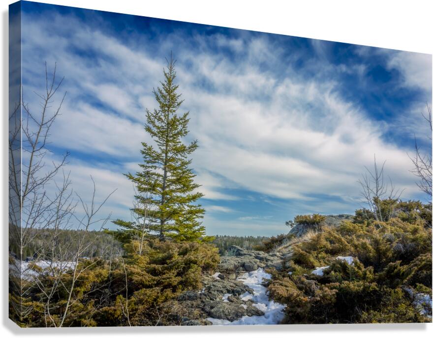 Dragon Fire Trail Canvas Print