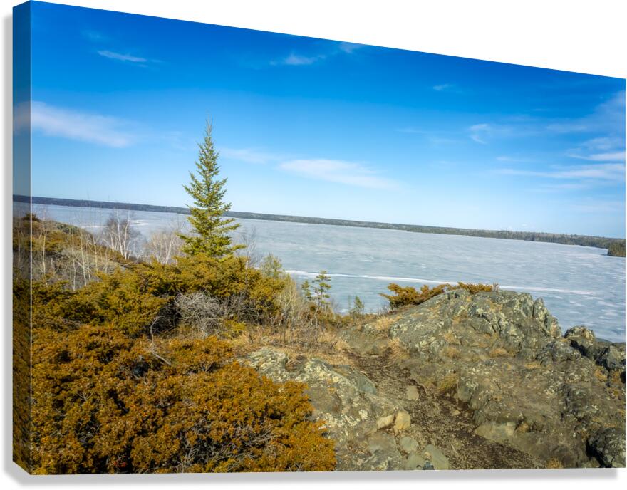 Dragon Fire Trail Canvas Print