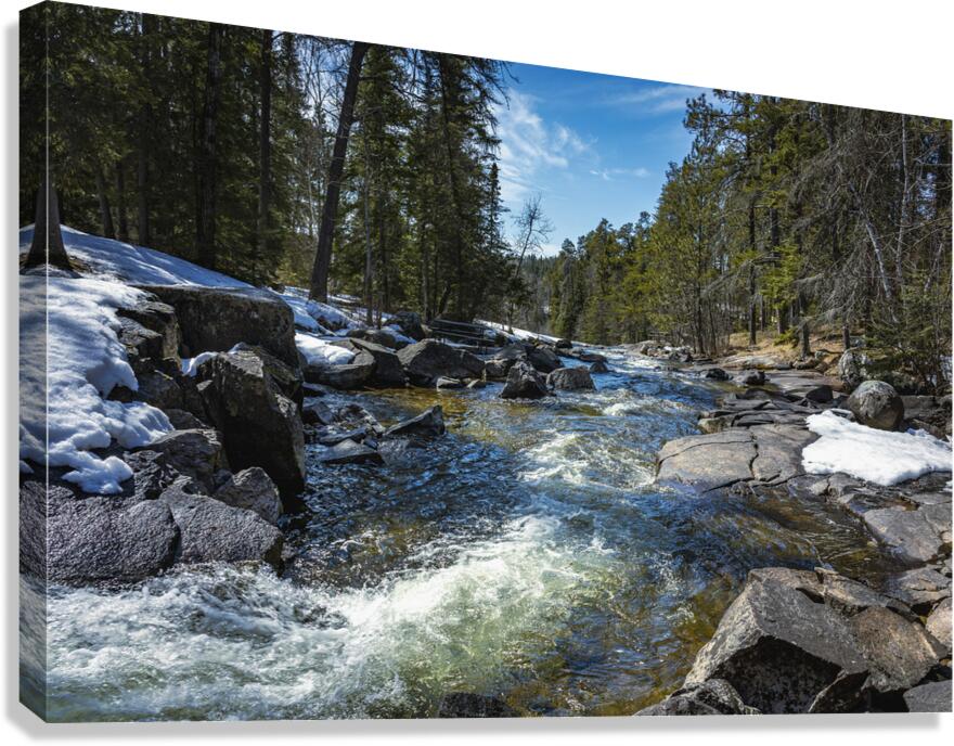 Cascading Waters Canvas Print