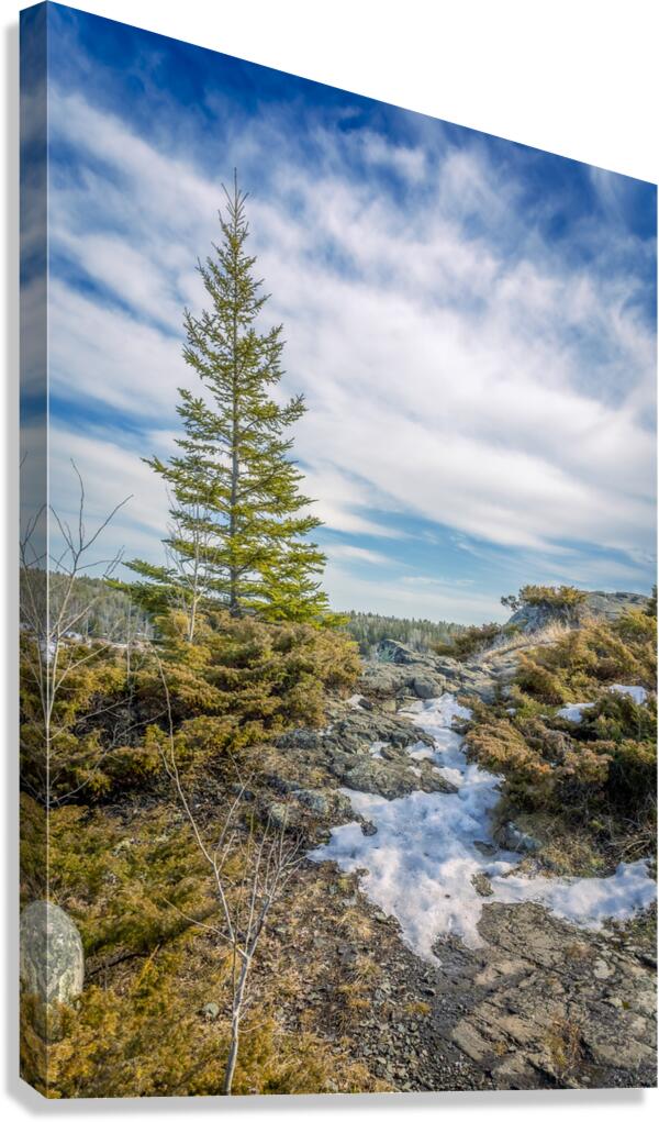 Dragon Fire Trail Canvas Print