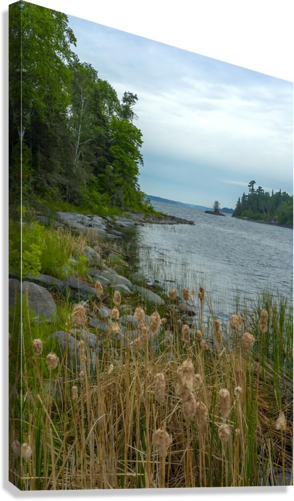 Morning on Shoal Lake Canvas Print