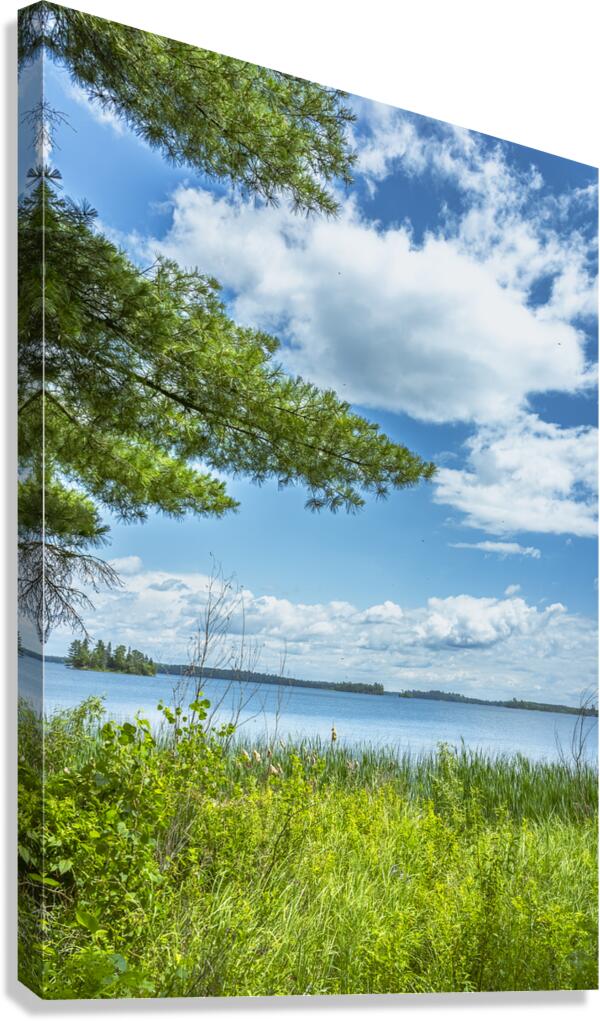 Lake of the Woods View Canvas Print