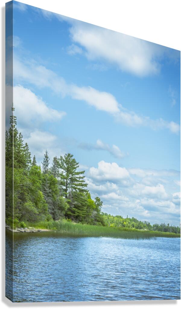 Lake of the Woods View Canvas Print