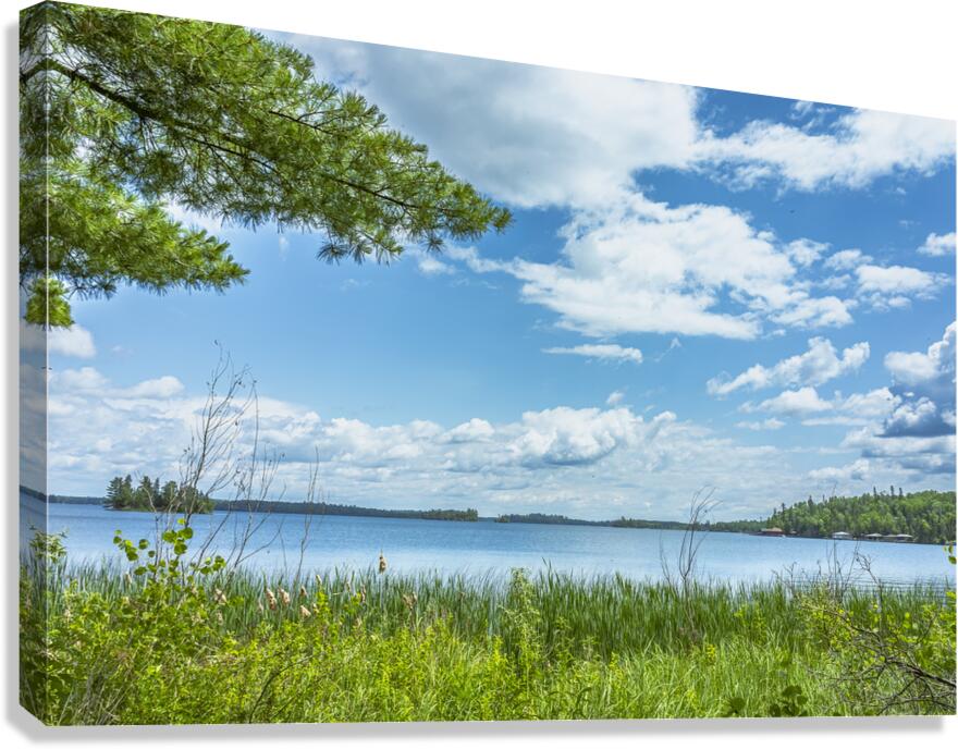 Lake of the Woods View Canvas Print